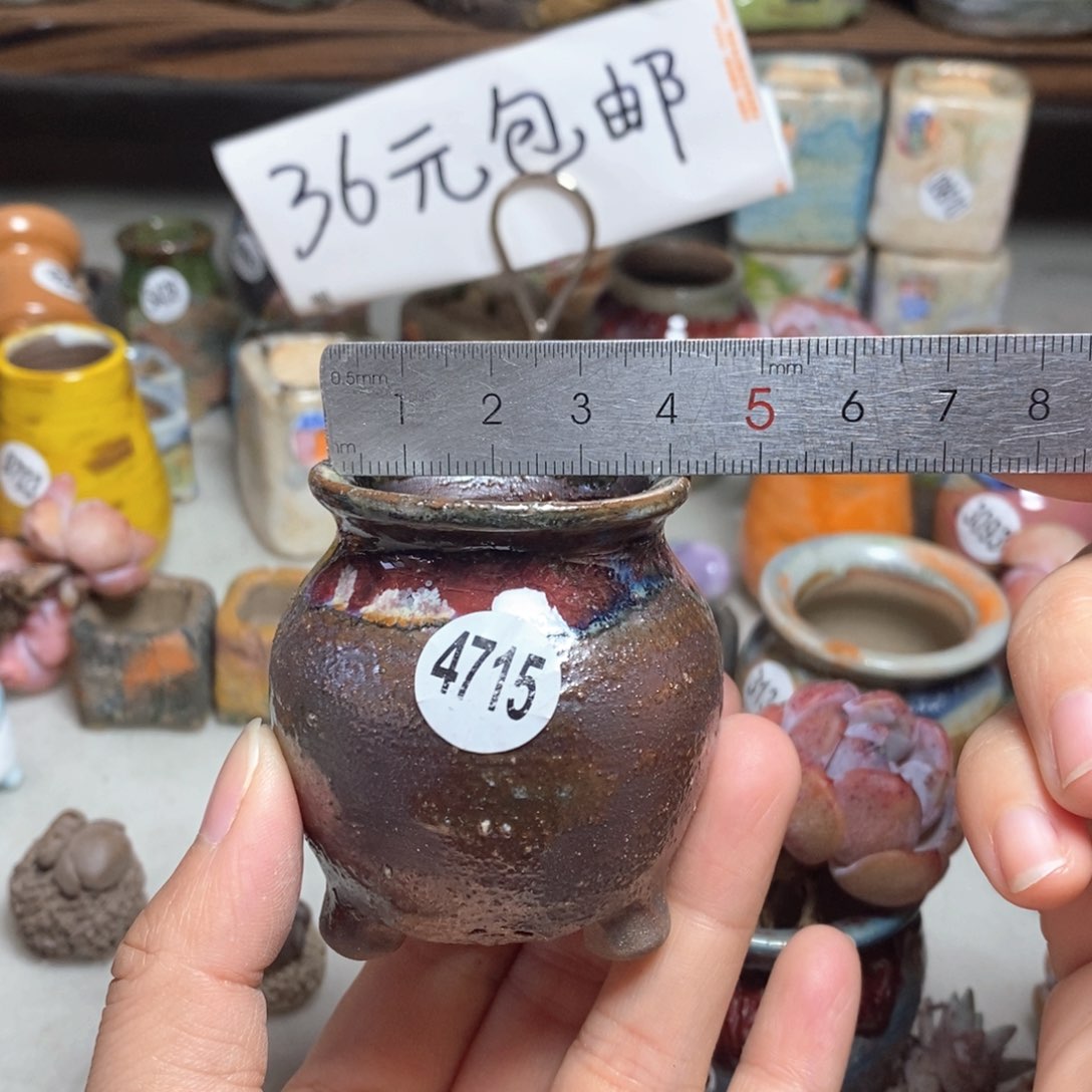 拍5送一个小礼物