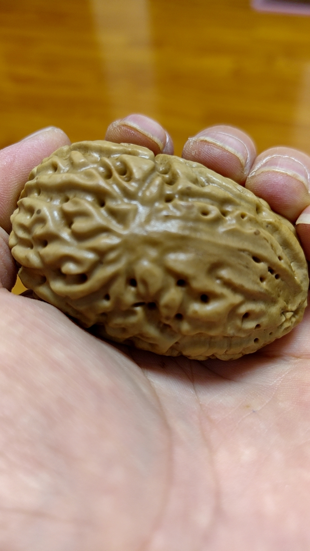 精品千眼刷果，文玩