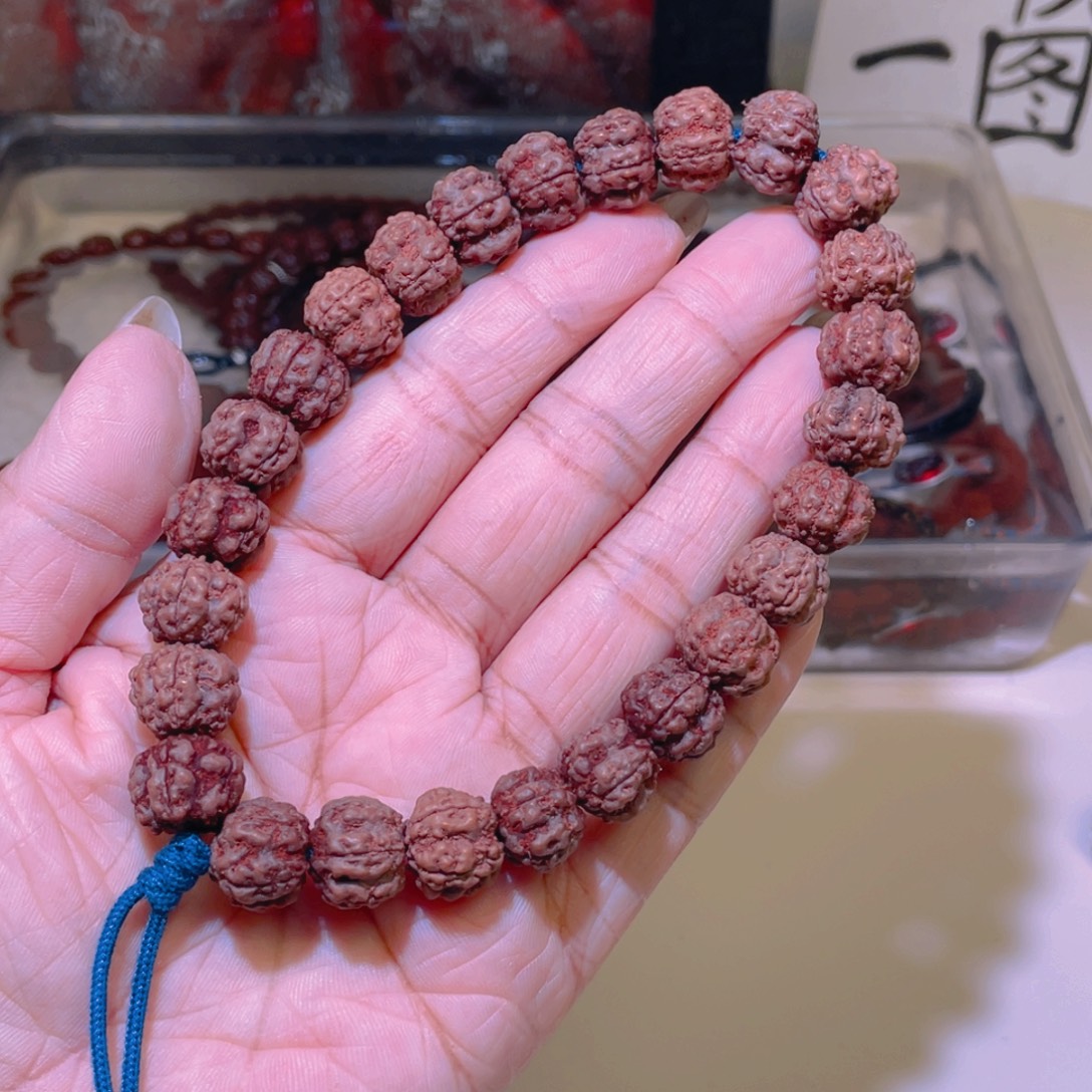 金刚菩提手串001花魁老树梅花12.3