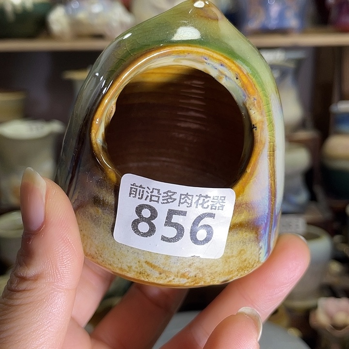 狼盆内口径4高度7