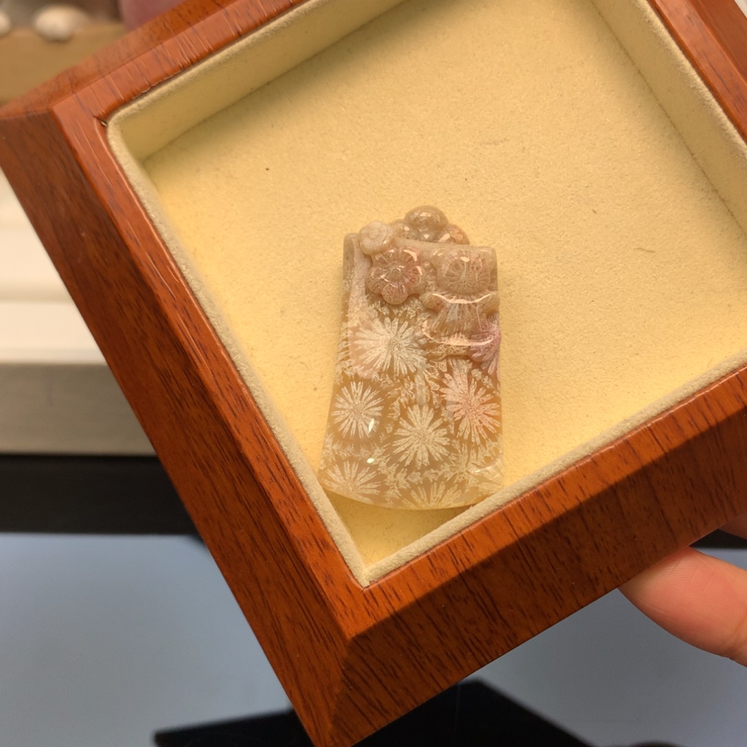 硅化珊瑚（珊瑚玉）颈饰未镶嵌