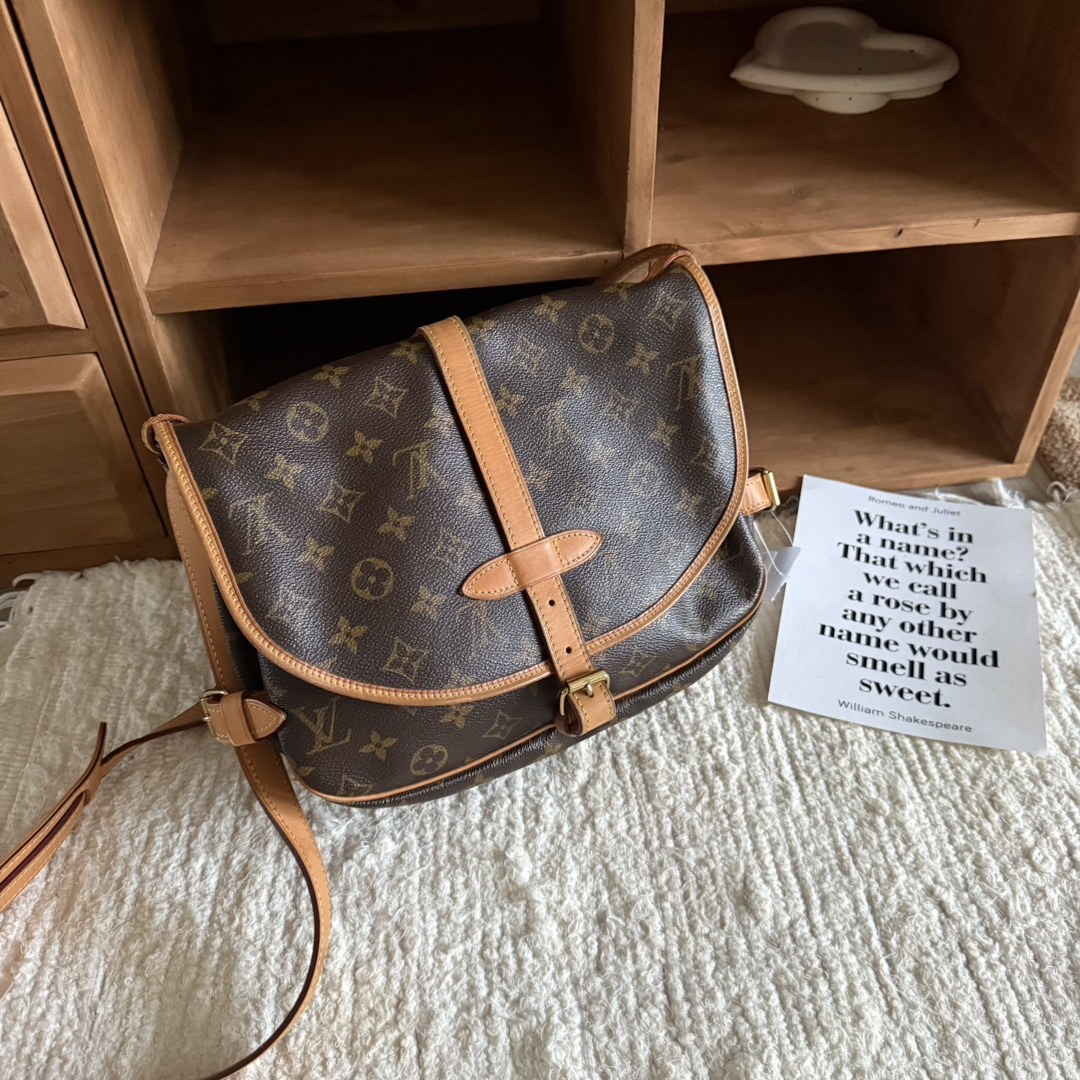 95新 LouisVuitton/路易威登 小号双子星斜挎包QX-16039127