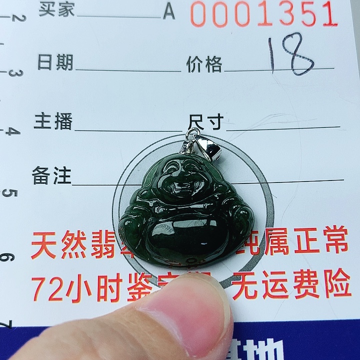 翡翠颈饰银S925镶嵌翡翠