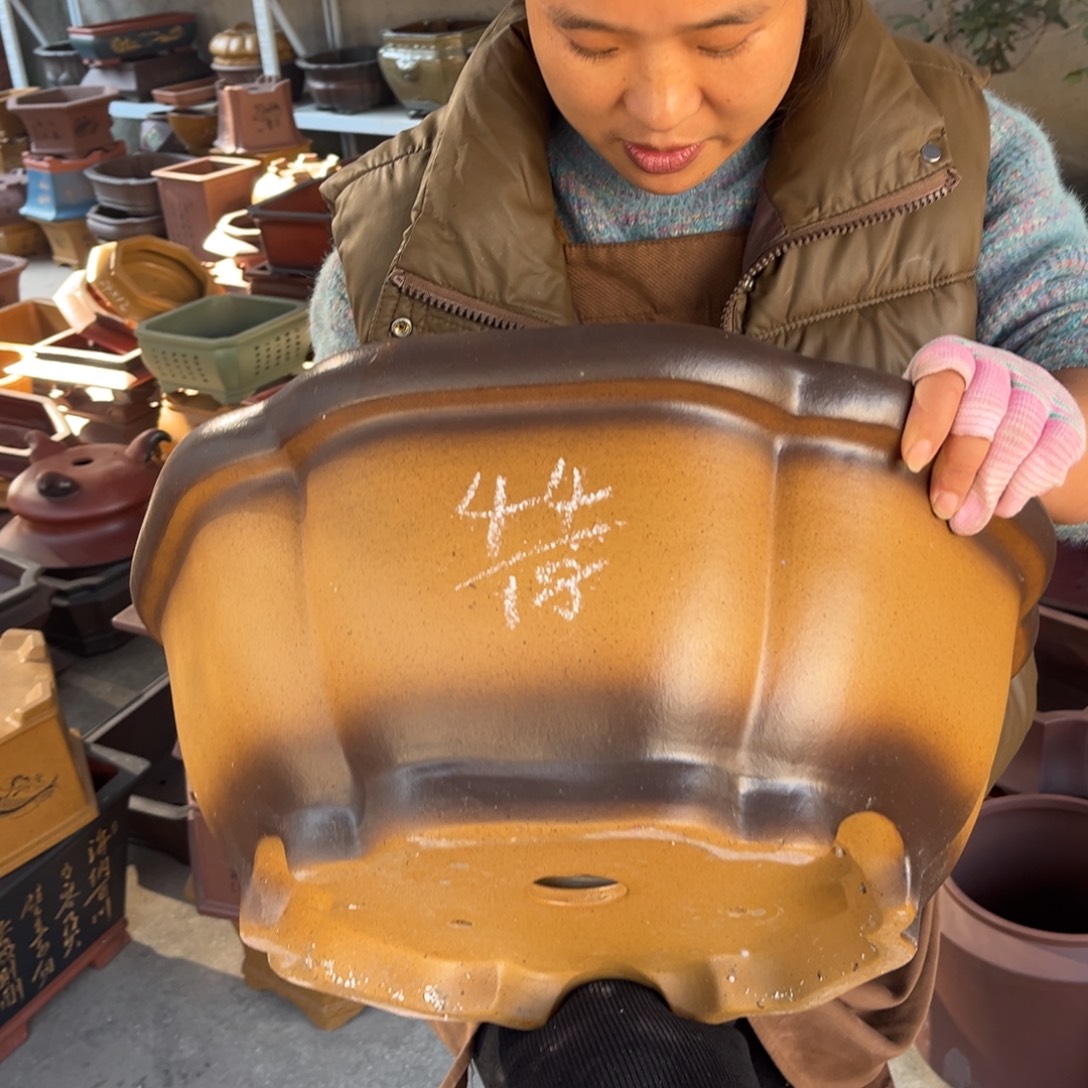 紫砂花盆盆景艺术