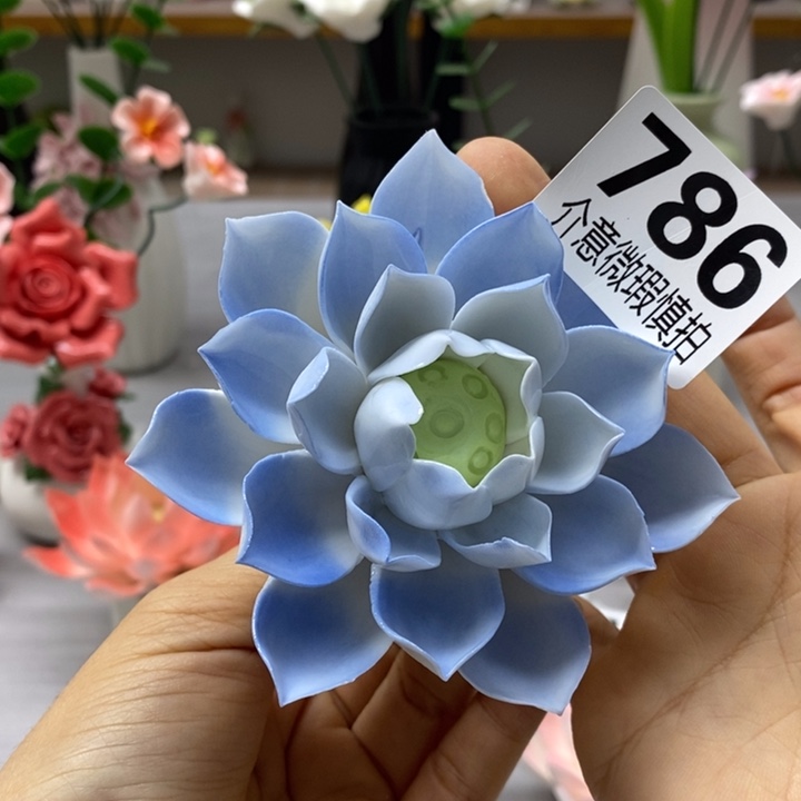 陶瓷陶瓷材料加工