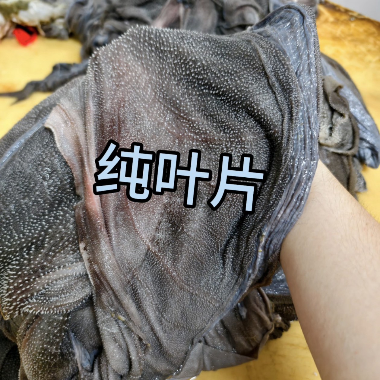 屠场纯鲜叶片 固形物含量90%以上