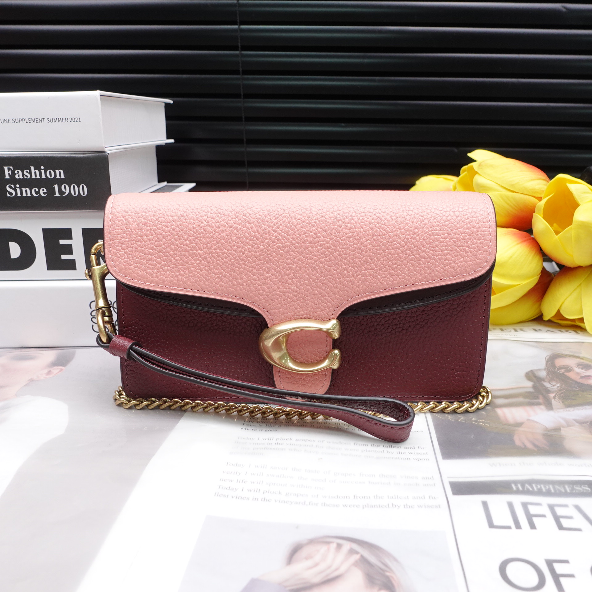 95新 COACH/蔻驰 单肩包/T10227033