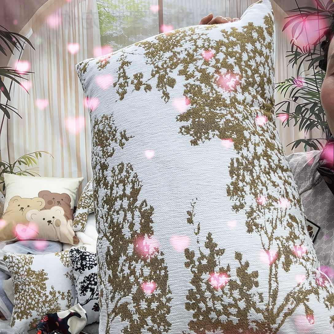 枕芯啦啦啦啦啦啦40x60卡卡