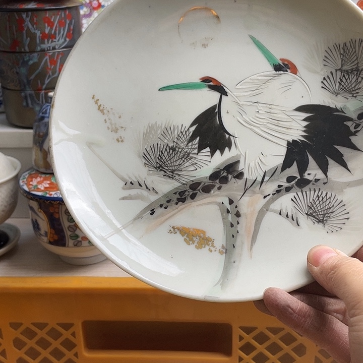 瓷片哈哈哈哈我的天啊我要