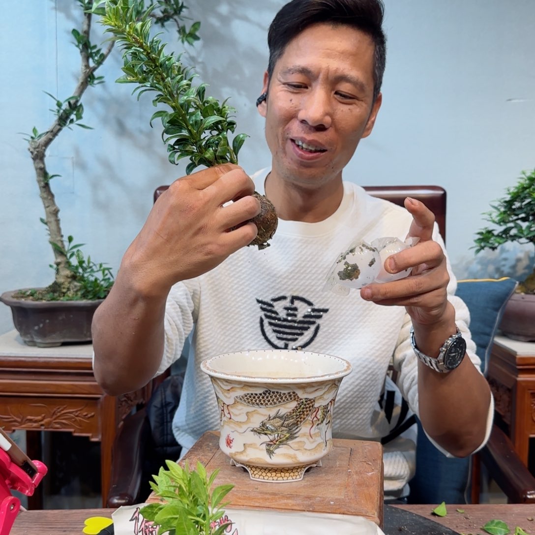 以实际为准今**世
