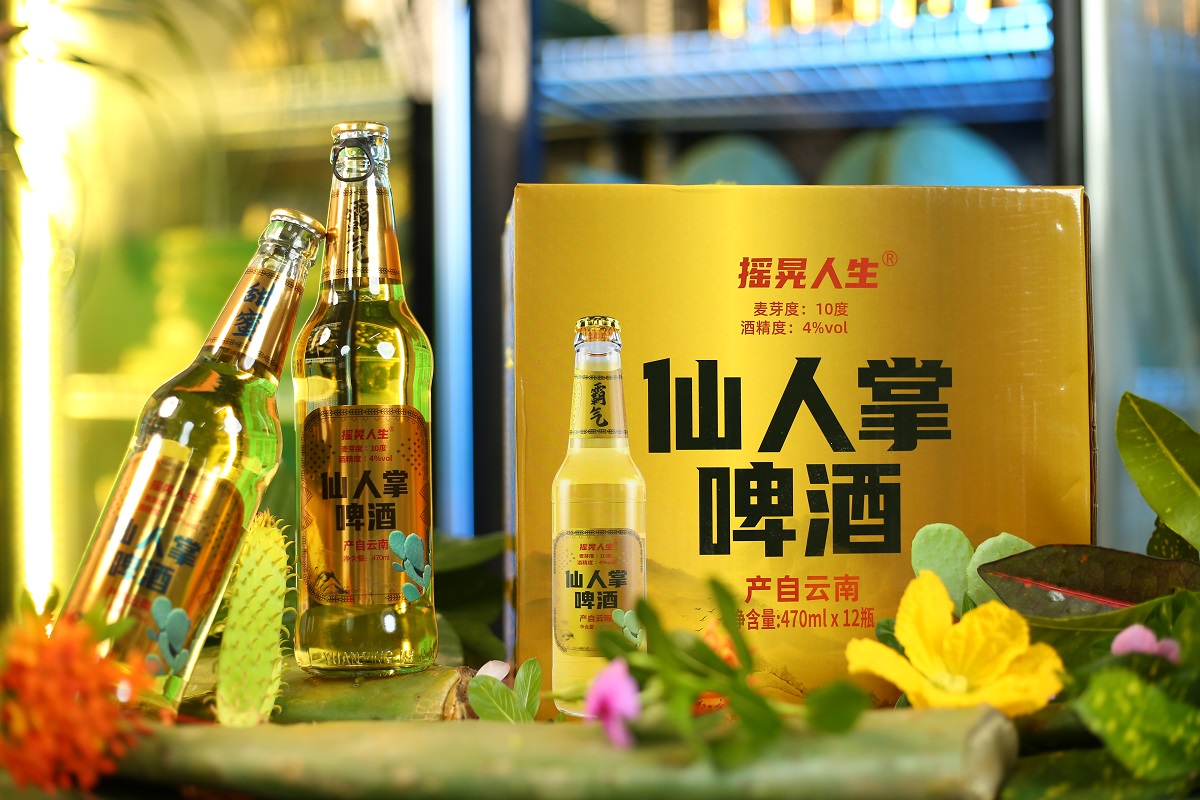 【工厂直发】云南仙人掌啤酒10度霸气款产地直发口感柔顺   