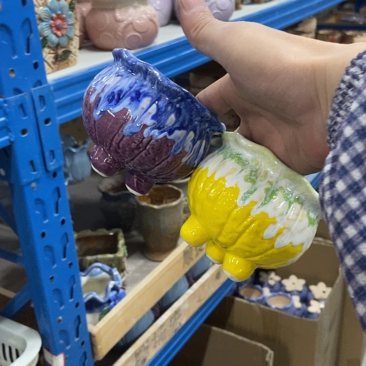 花盆单场满9.9发货9.5×8