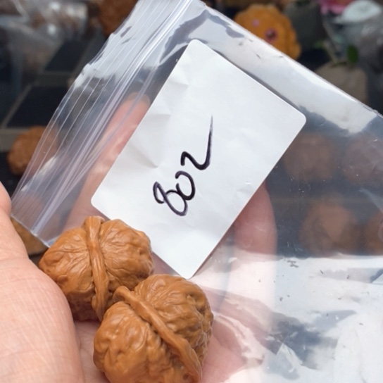 桃核吊坠小*802蛙蛙蛙蛙