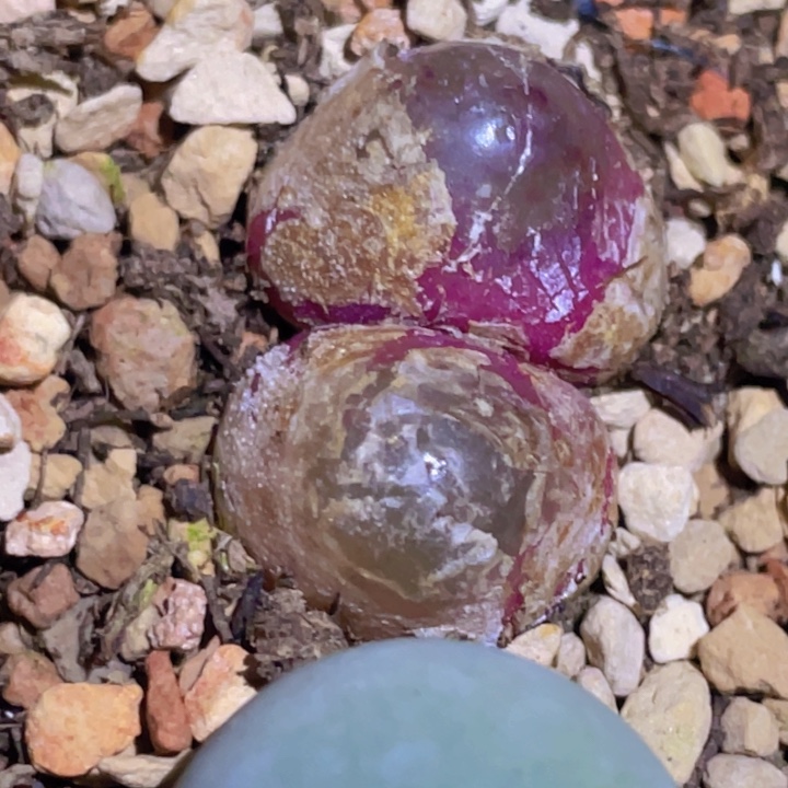 4888888999999999888888