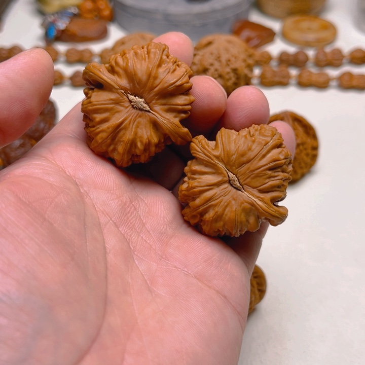 文玩核桃把件白狮子三角白边41.5编号2562