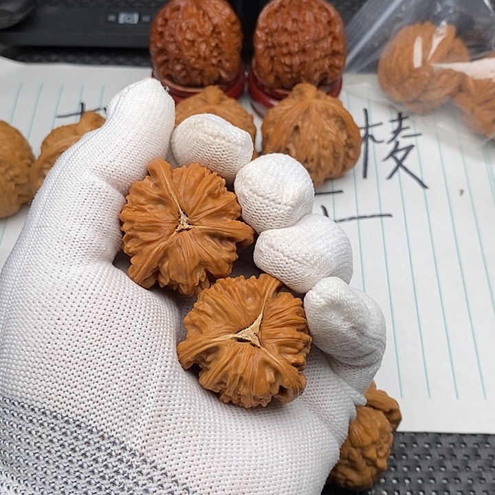 手串/手链核桃拼接白狮福利10