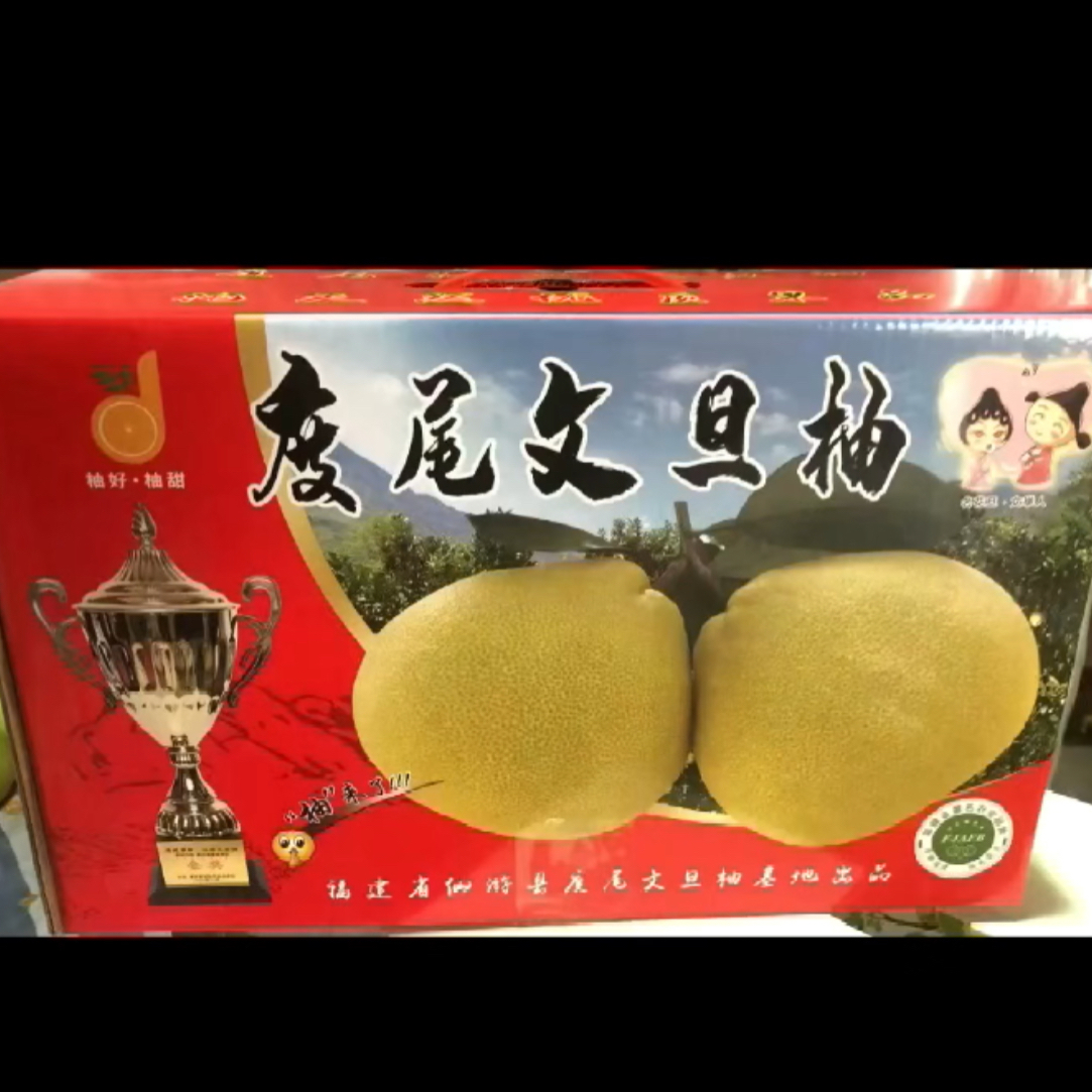 福建度尾文旦柚规格10斤礼盒装