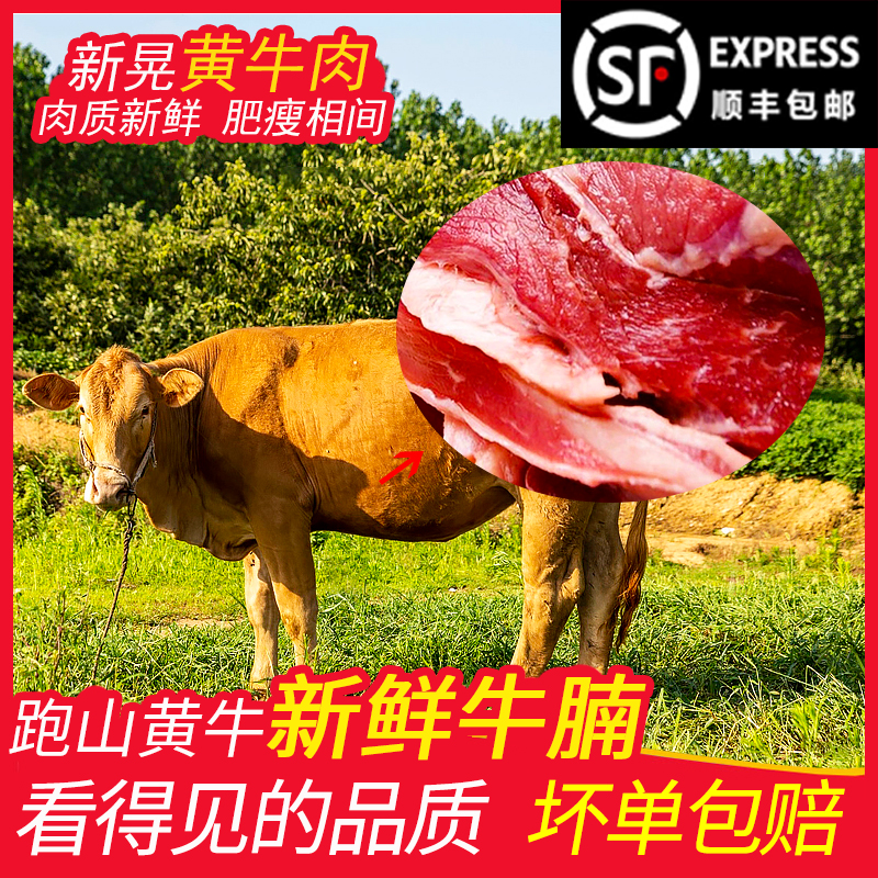 新鲜黄牛牛腩正宗跑山牛肉整块牛腩肉新晃黄牛肉散养当天宰杀顺丰