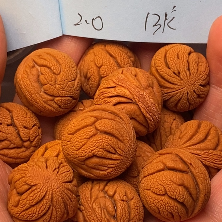 吊坠桃核秦岭龙纹桃核20尺寸