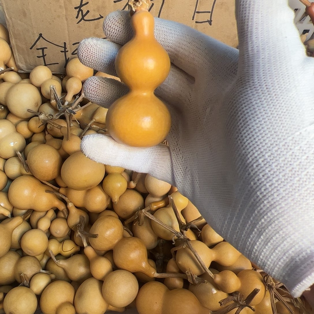 随****葫芦在一起的时候就是不知道怎么