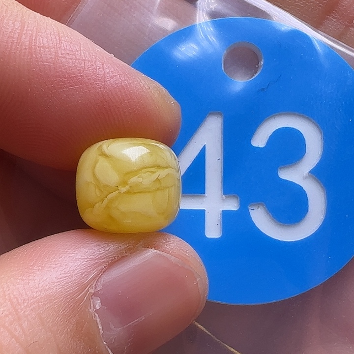 蜜蜡未镶嵌珠宝奇石10.8mm花粉