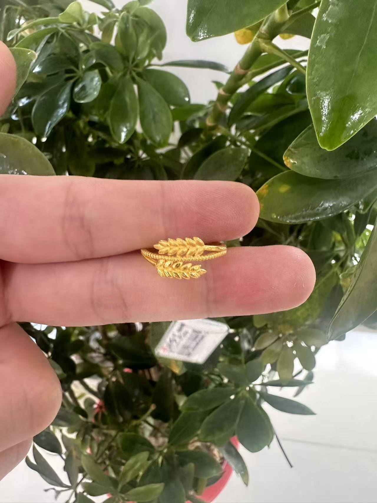 赛菲尔足金999.9活口戒指