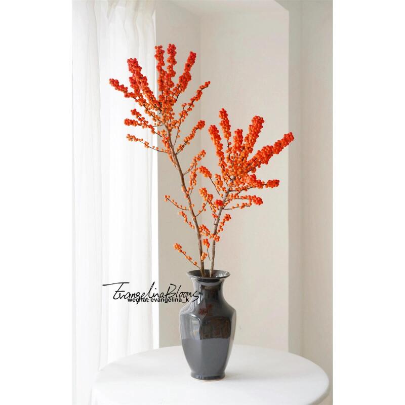 天物农场 爱马仕橙北美冬青  一枝独秀 单独包邮（顺丰空运）