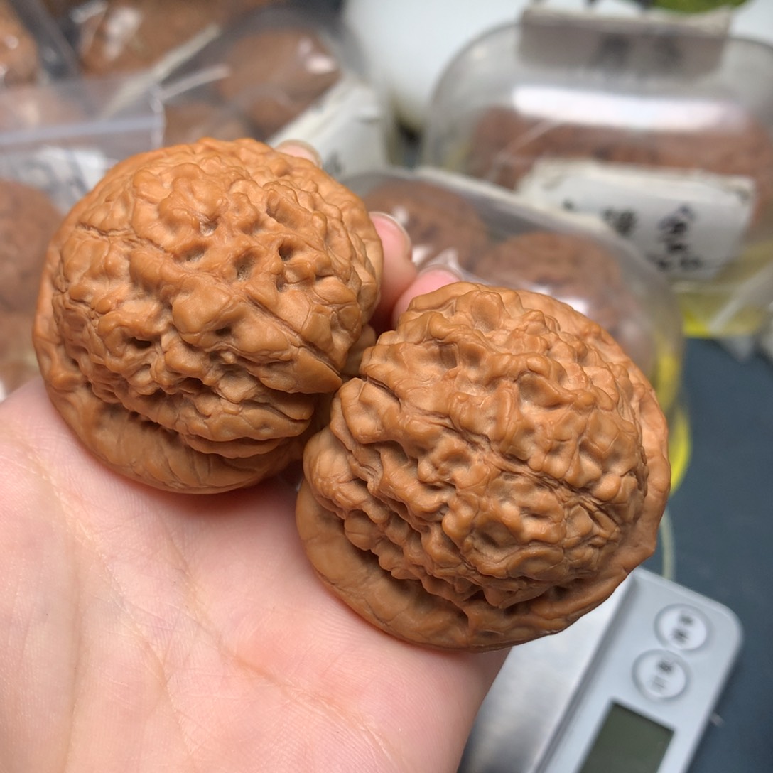 文玩核桃把件天**禀  48-394-0