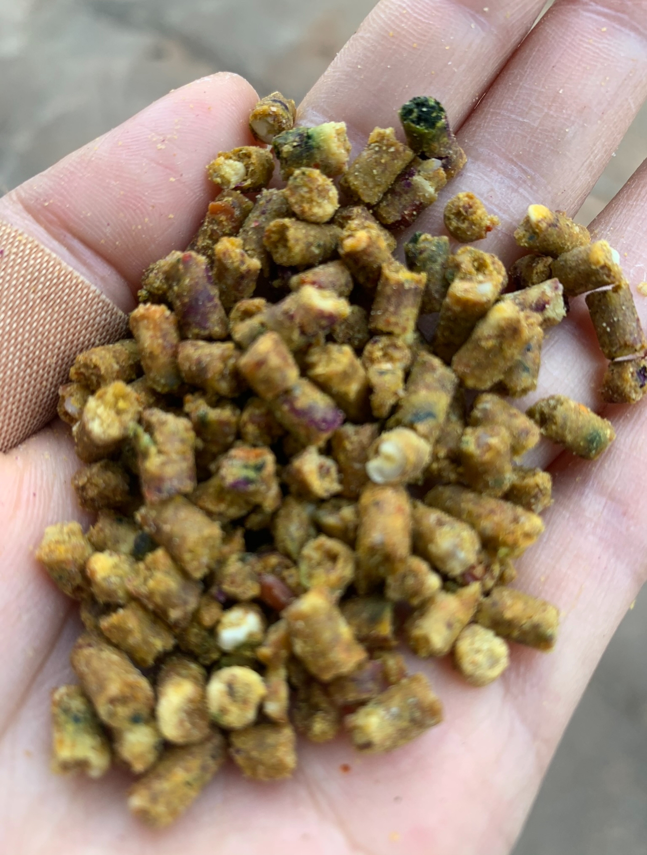 精品鸟粮 月宝宝