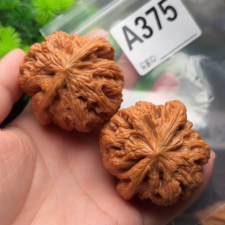 呈***呈桃核把件大粗筋48