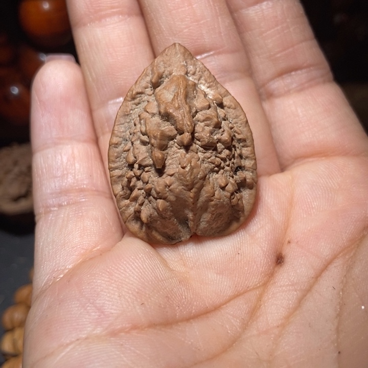 把件文玩核桃?****东北楸子小雪69