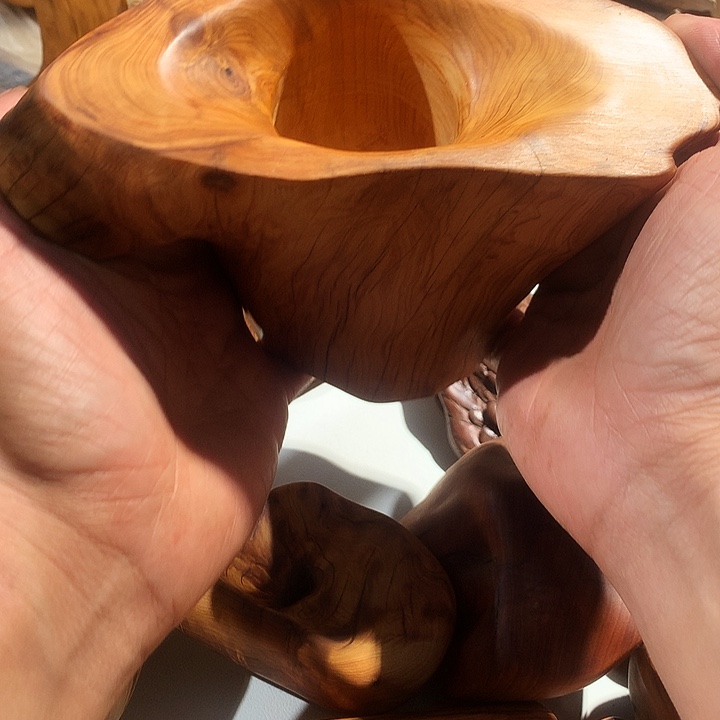 三***子香榧木太行崖柏笔筒
