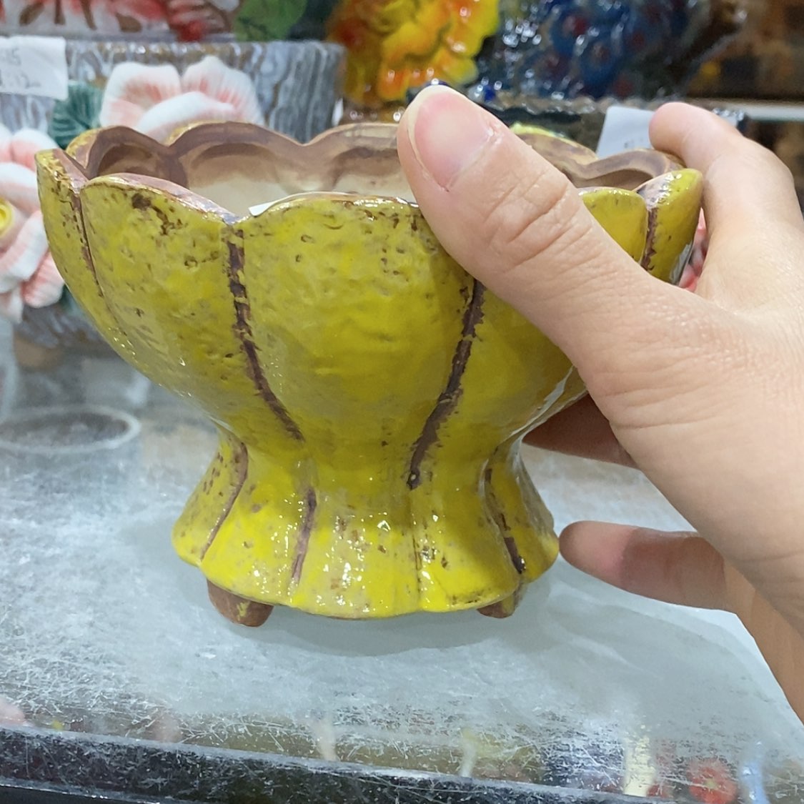 【闪购商品】红陶福利