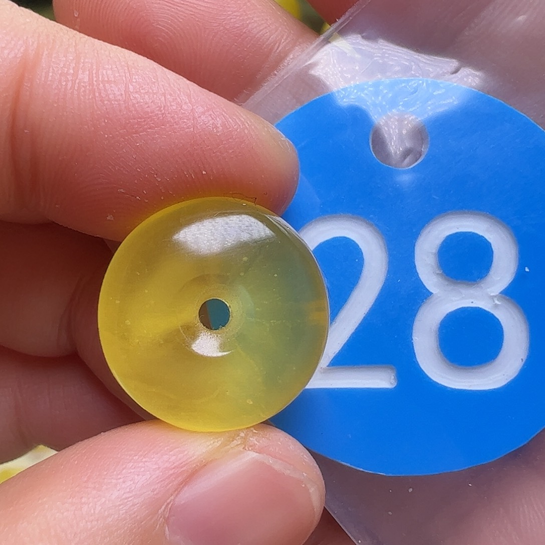 蜜蜡未镶嵌珠宝奇石17.5mm花粉