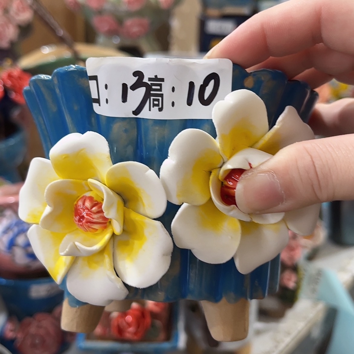 【闪购商品】红陶福利