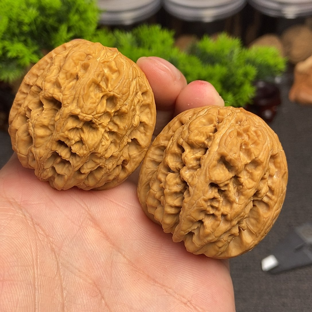 核桃将军膀43尺寸编号333