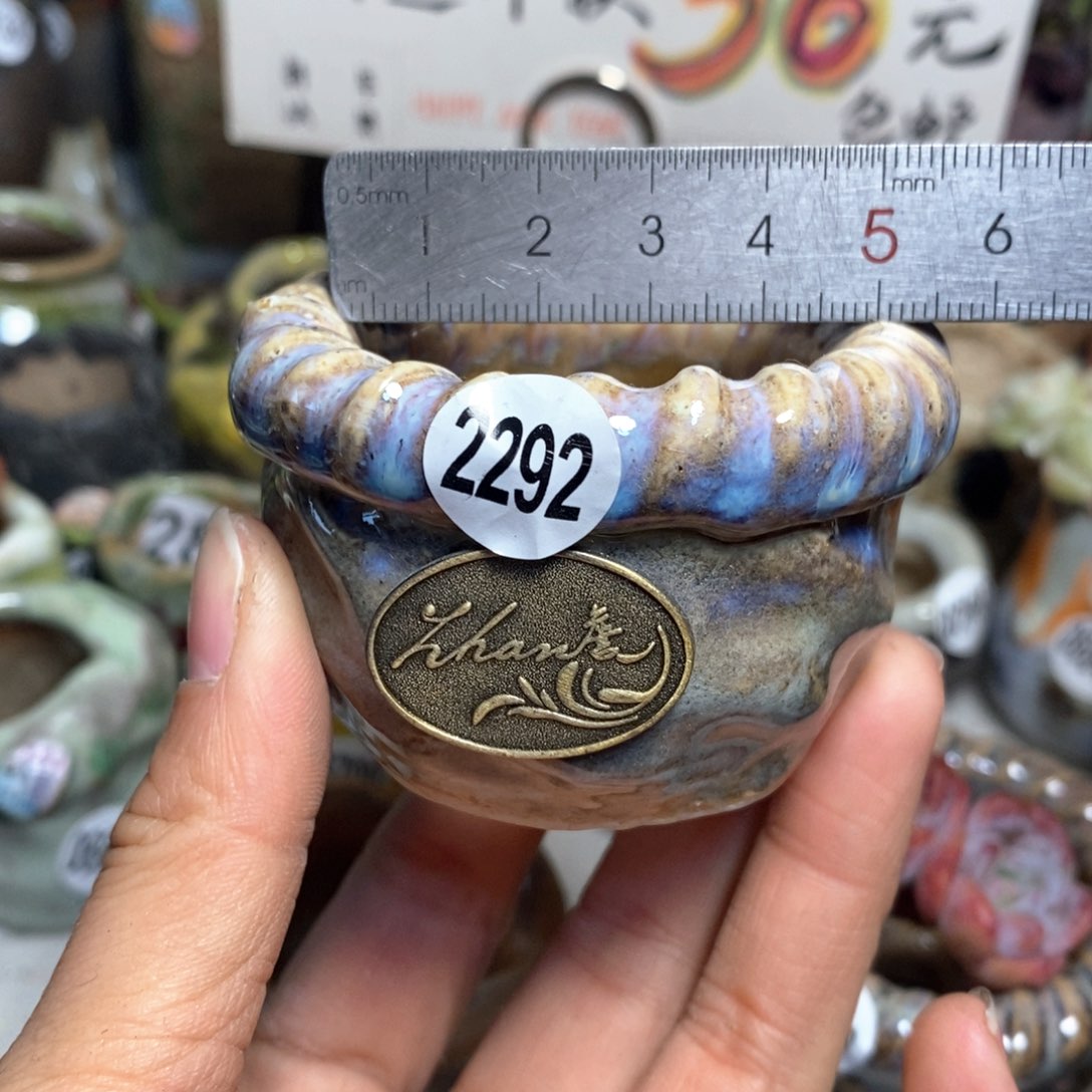 特价花盆拍5送一个小礼物
