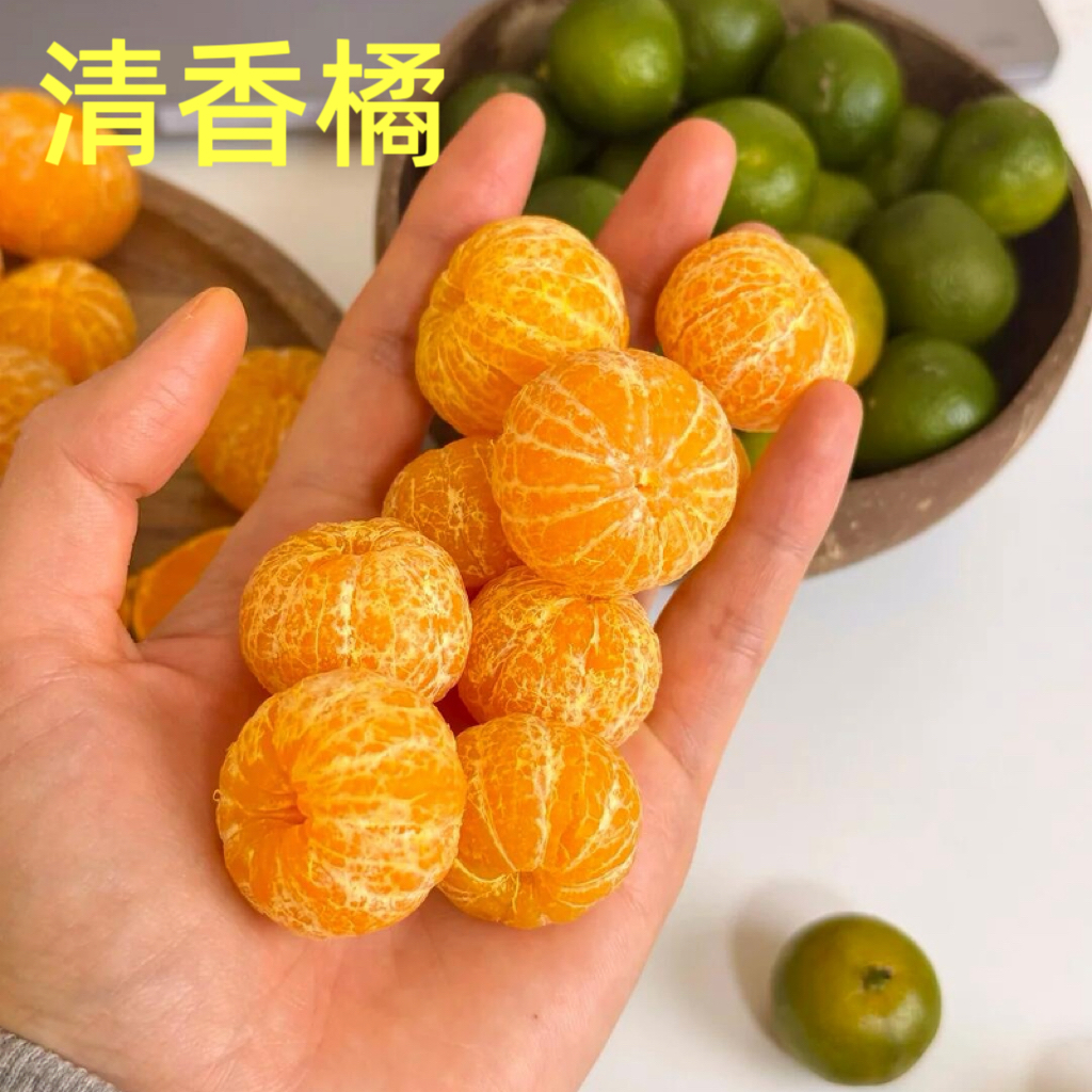 【清香橘】新鲜清香橘清甜纯甜香甜广西清香茶橘清香茶橘清香蜜橘