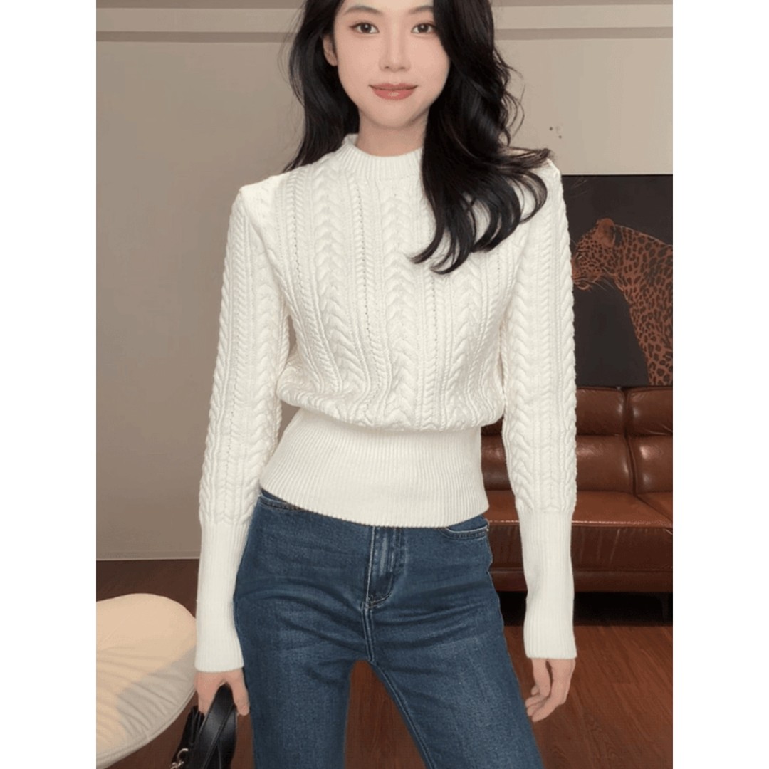 麻花小立领收腰厚款毛针织衫女秋冬新款软糯时尚毛衣