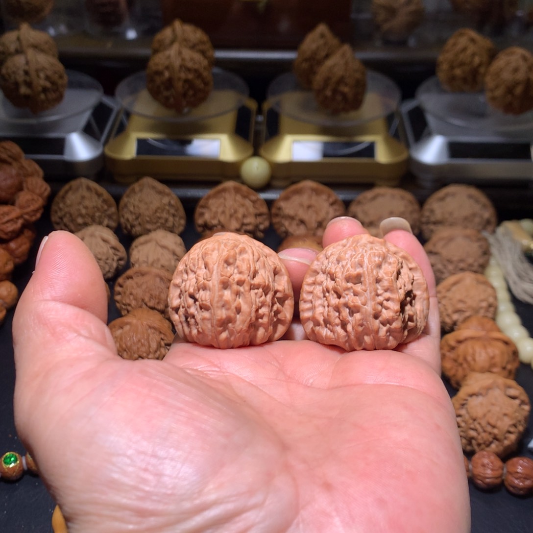 40全品三角白一物一图