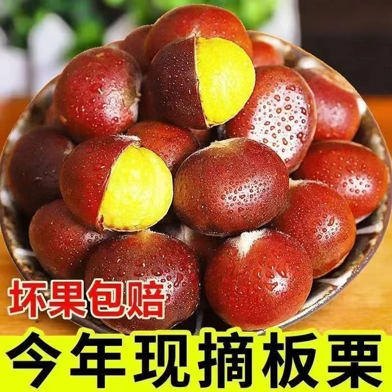 【买三斤送两斤】现摘现发老品种板栗香糯可口送栗爪