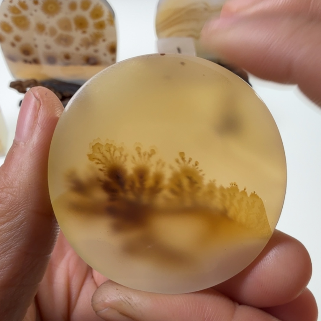 玛瑙/玉髓未镶嵌珠宝半成品