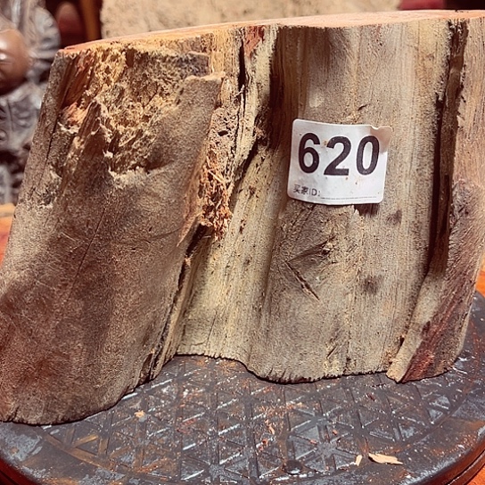 大果紫檀（缅甸花梨）