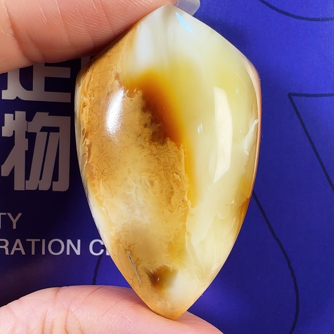 蜜蜡未镶嵌裸石红白沁色盾牌