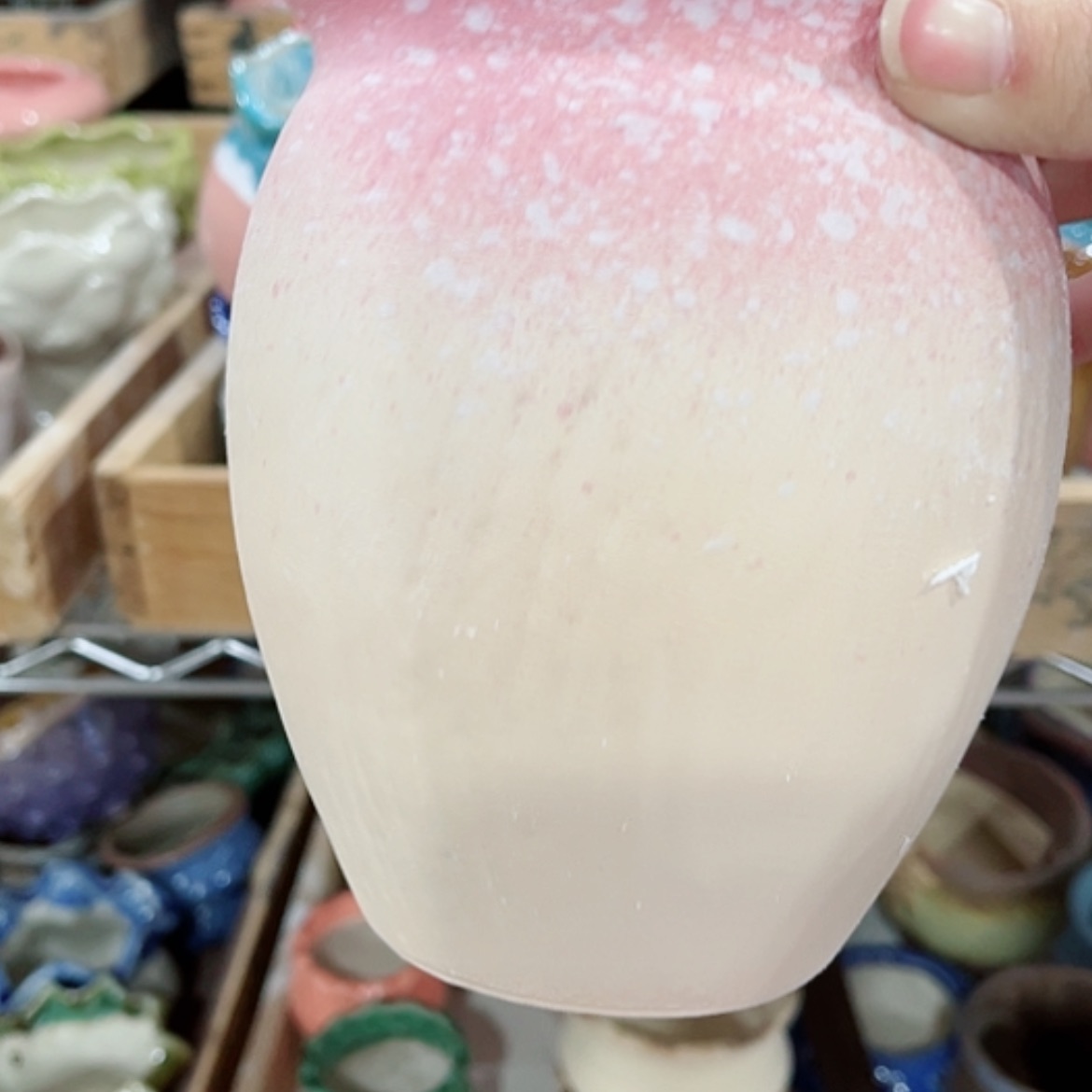 【闪购商品】红陶花盆架的小哥哥真的