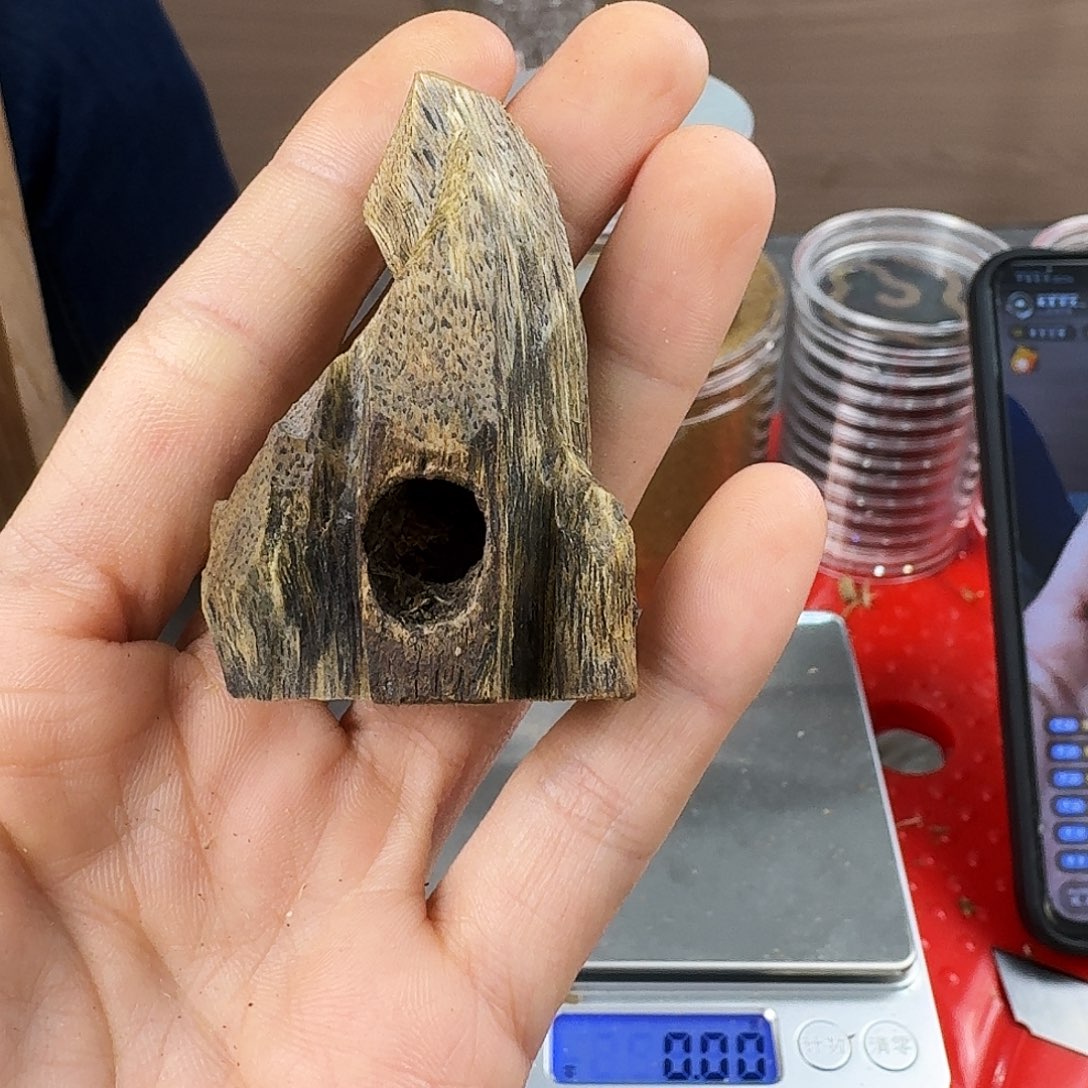 香料绿奇楠虫漏白棋9克