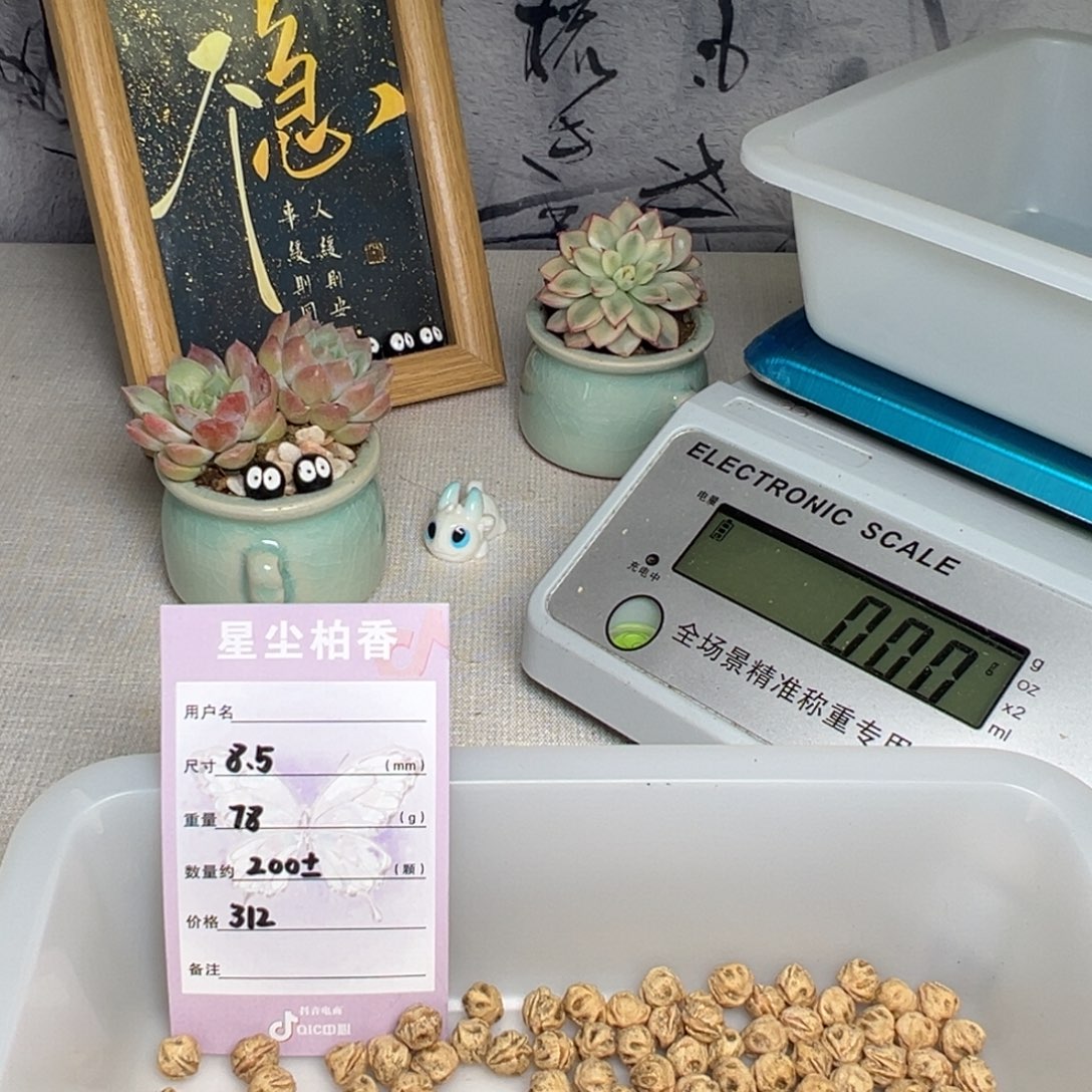 妖***柏香籽/百香籽吊坠