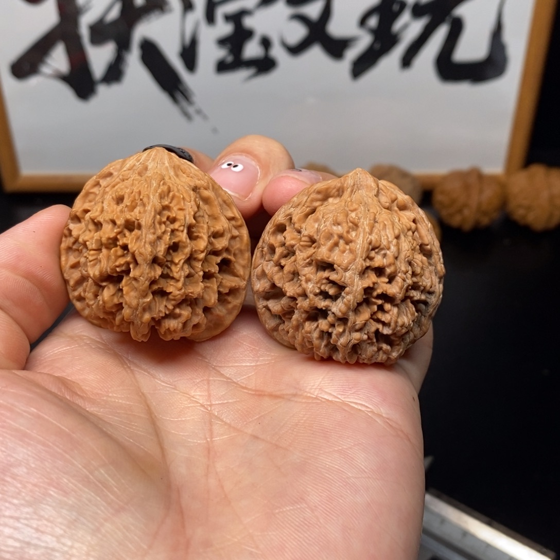 42尺全品白茬满天星