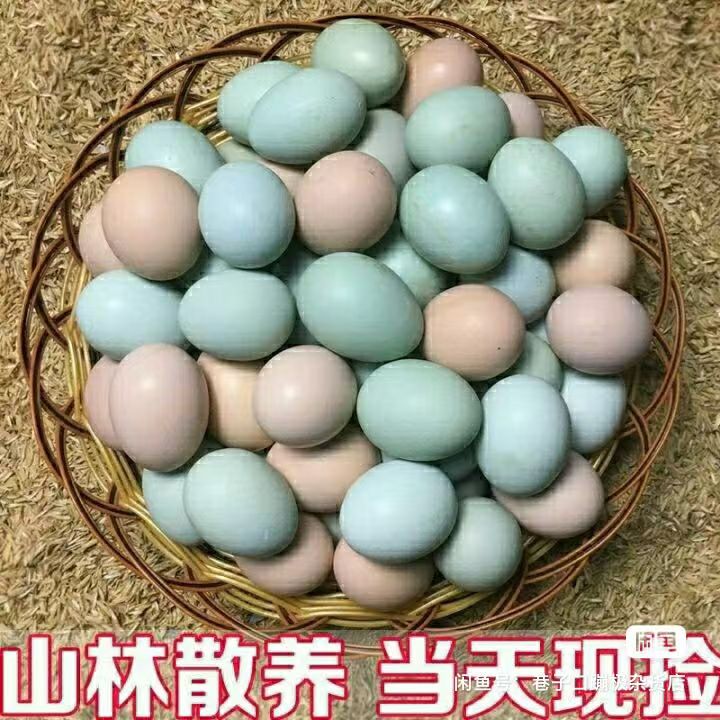 正宗散养新鲜土鸡蛋农家虫草蛋粉谷物鸡蛋养儿童孕妇营养整箱批发