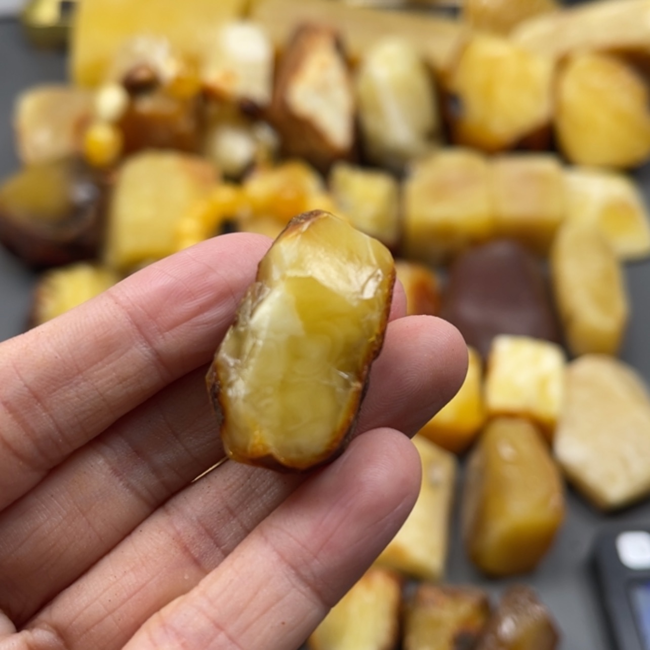【闪购商品】未镶嵌定制琥珀三**耀天然琥珀蜜蜡原石定制y